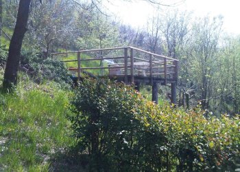 Giardino - Rustico Melizzano - foto 26