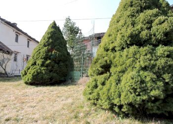 Giardino - Casa semi indipendente Borgata Frainetto
 
19, Coazze - foto 16