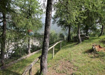 Giardino - Casa indipendente borgata serremarchetto
 
1, Pinasca - foto 17