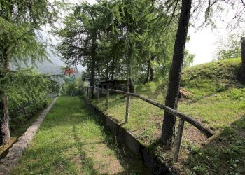 Giardino - Casa indipendente borgata serremarchetto
 
1, Pinasca - foto 19