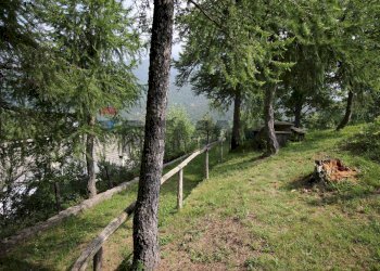 Giardino - Casa indipendente borgata serremarchetto
 
1, Pinasca - foto 22