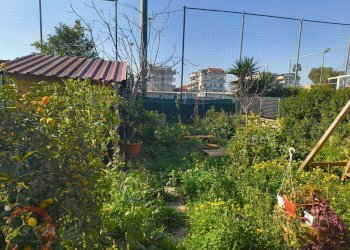 Foto 5 - Villa a Schiera Via Prezzolini, Latina - foto 5