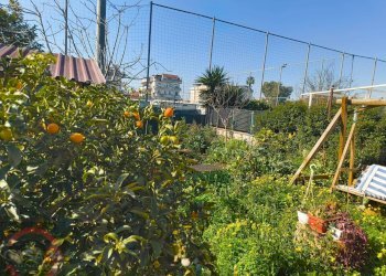 Foto 11 - Villa a Schiera Via Prezzolini, Latina - foto 11