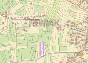 Pianta 2D - Terreno agricolo Francavilla al Mare - foto 2