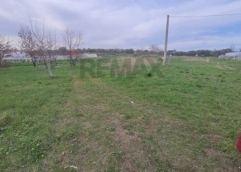 Giardino - Terreno agricolo Francavilla al Mare - foto 4