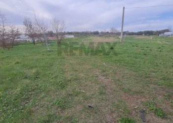 Giardino - Terreno agricolo Francavilla al Mare - foto 5