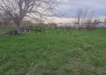 Giardino - Terreno agricolo Francavilla al Mare - foto 6