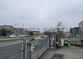 Edificio all\'aperto - Capannone Via dell'economia, Occhiobello - foto 5