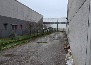 Edificio all\'aperto - Capannone Via dell'economia, Occhiobello - foto 15