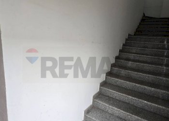 Scale - Capannone Via dell'economia, Occhiobello - foto 26