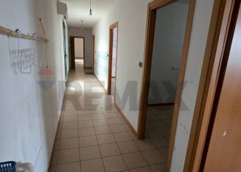 Hall / corridoio - Capannone Via dell'economia, Occhiobello - foto 29