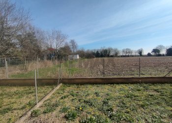 Giardino - Villa a Schiera via caduti di cefalonia
 
11, Copparo - foto 15