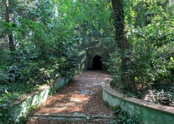 Giardino - Villa Viale adriatico
 
2, Ferrara - foto 10