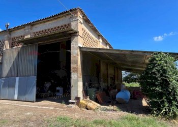 Casa all\'aperto - Rustico Ferrara - foto 4