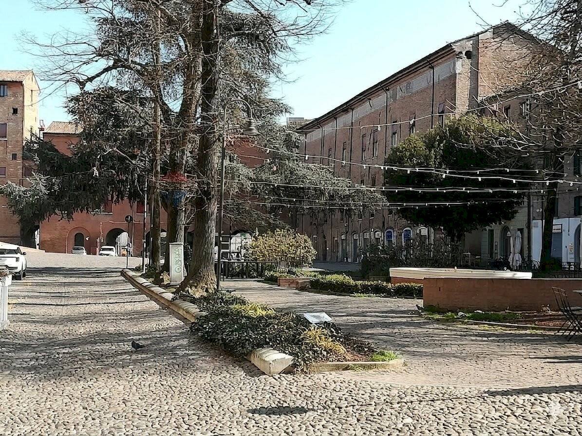 Giardino - Negozio Ferrara - foto 3