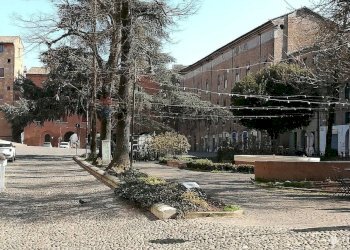 Giardino - Negozio Ferrara - foto 3