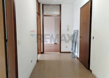 Hall / corridoio - Quadrilocale Via Trevigiana
17, Feltre - foto 18