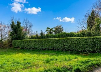Giardino - Terreno edificabile via gattolina, Sotto il Monte Giovanni XXIII - foto 4
