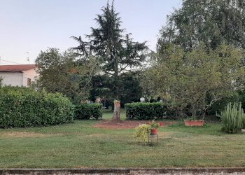 Giardino - Rustico Alluvioni Piovera - foto 11