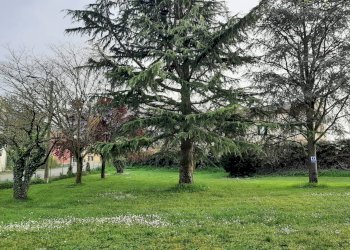 Giardino - Rustico Alluvioni Piovera - foto 12