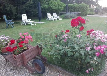 Giardino - Rustico Alluvioni Piovera - foto 19