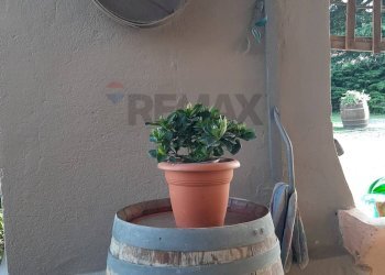 Dettagli - Rustico Alluvioni Piovera - foto 41