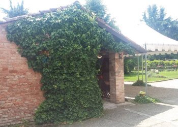 Giardino - Rustico Alluvioni Piovera - foto 72