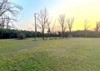 Giardino - Villa Via della Chiesa
 
1, Cassolnovo - foto 7