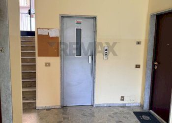 Terrazza - Bilocale Viale Cremona
 
2, Pavia - foto 14