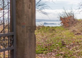 Non correlato - Terreno agricolo Località Carcaia
snc, Gradoli - foto 2