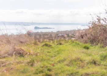 Vista dell\'acqua - Terreno agricolo Località Carcaia
snc, Gradoli - foto 3