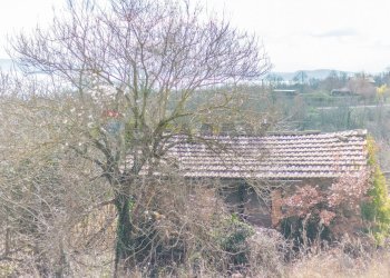 Casa all\'aperto - Terreno agricolo Località Carcaia
snc, Gradoli - foto 14