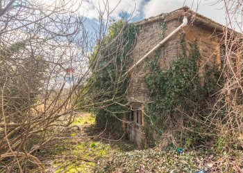 Casa all\'aperto - Terreno agricolo Località Carcaia
snc, Gradoli - foto 16