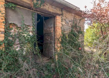 Casa all\'aperto - Terreno agricolo Località Carcaia
snc, Gradoli - foto 18