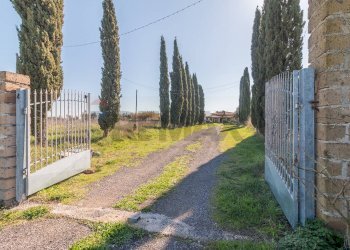 Giardino - Villa Via dell'arcipretura
 
4, Montalto di Castro - photo 3