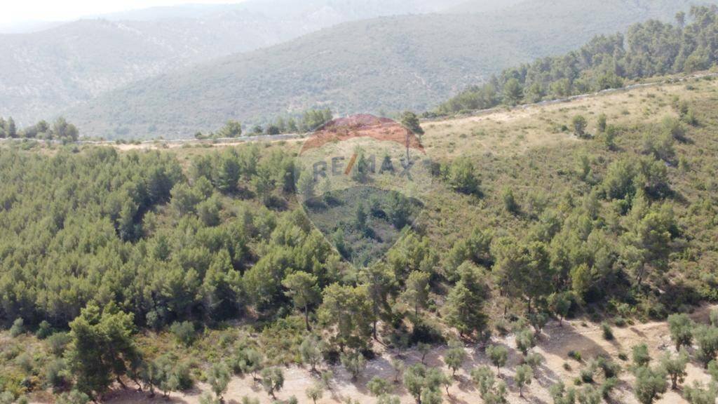 terreno - Agricultural land Località' Macerelle, Vieste - photo 3