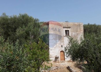 terreno - Terreno agricolo Località' Macerelle, Vieste - foto 1