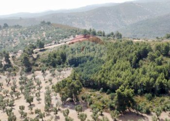 terreno - Terreno agricolo Località' Macerelle, Vieste - foto 5