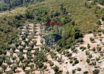terreno - Terreno agricolo Località' Macerelle, Vieste - foto 6