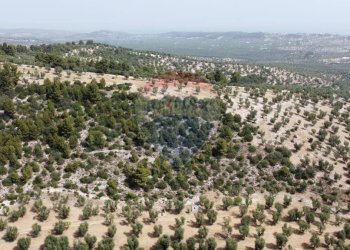 terreno - Terreno agricolo Località' Macerelle, Vieste - foto 8
