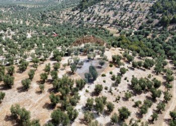 terreno - Terreno agricolo Località' Macerelle, Vieste - foto 10