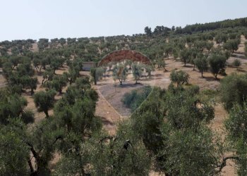 terreno - Terreno agricolo Località' Macerelle, Vieste - foto 11