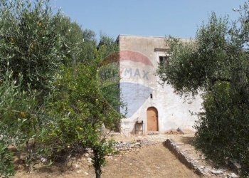 terreno - Terreno agricolo Località' Macerelle, Vieste - foto 14