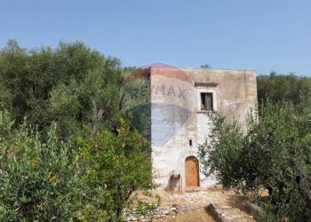 terreno - Terreno agricolo Località' Macerelle, Vieste - foto 15