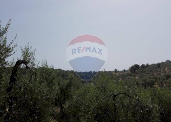 terreno - Terreno agricolo Località' Macerelle, Vieste - foto 16