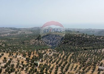 terreno - Terreno agricolo Località' Macerelle, Vieste - foto 18