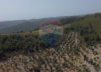 terreno - Terreno agricolo Località' Macerelle, Vieste - foto 20