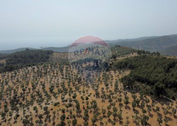 terreno - Terreno agricolo Località' Macerelle, Vieste - foto 21