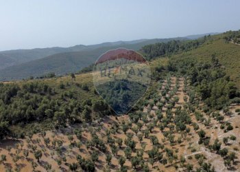 terreno - Terreno agricolo Località' Macerelle, Vieste - foto 22