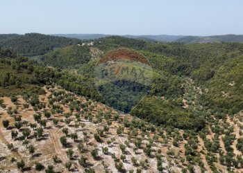 terreno - Terreno agricolo Località' Macerelle, Vieste - foto 23